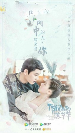 Yo'lbars va atirgulning romantikasi 1-4-10-20-30-40-50 Qism xitoy seriali (Uzbek tilida)